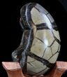 Septarian Dragon Egg Geode - Black Calcite Crystals #33989-4